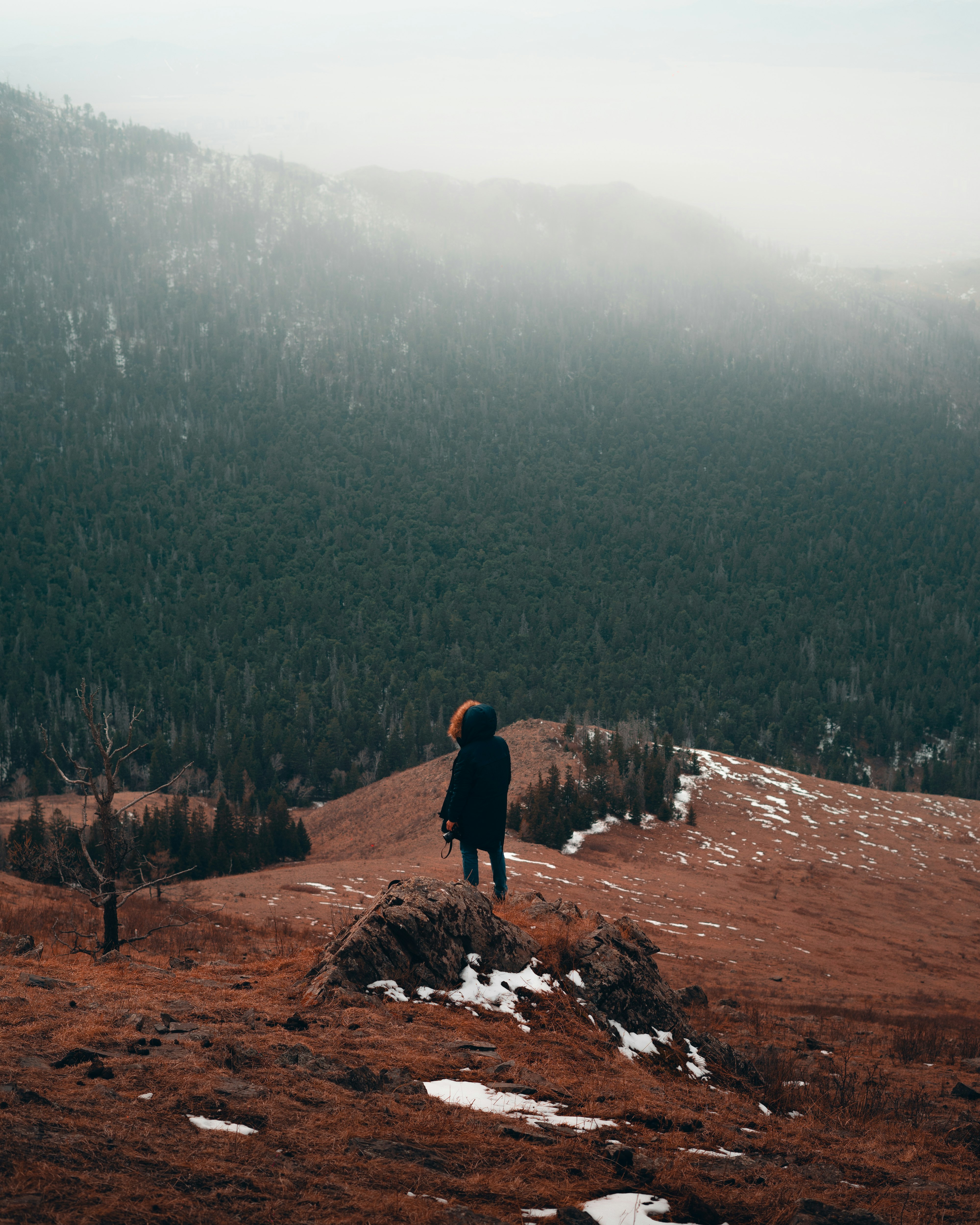 person in black jacket standing on brown rock during daytime